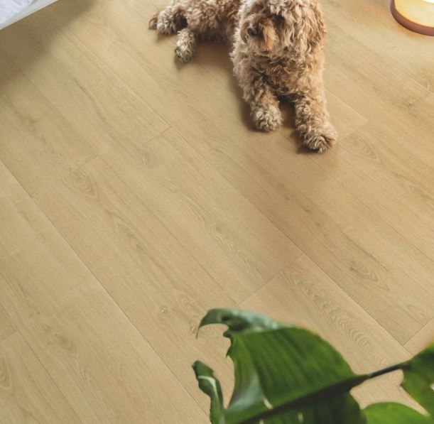 Ламінат Quick Step SIG4763 Brushed oak natural SIG4763 фото