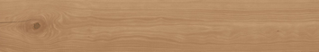 Керамограніт Log Cansei Fenice 20x120 Matt Sensitech AX7A фото