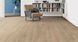 Ламінат Haro 541560 Oak Veneto Crema 541560 фото 2