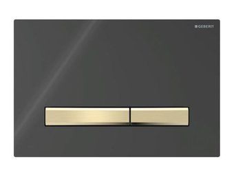 Клавіша змиву Geberit Sigma50 для подвійного змиву, чорний/латунь, 115.672.DW.2 115.672.DW.2 фото